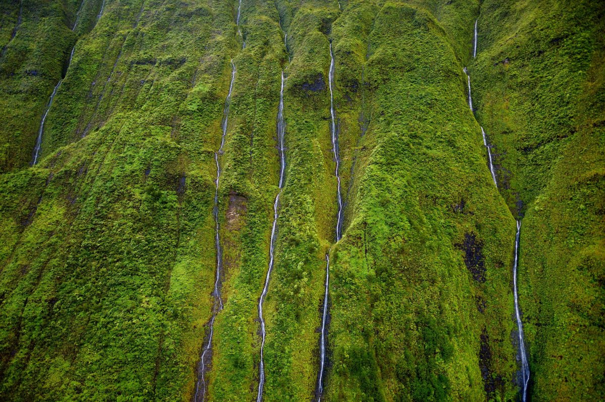 Mt. Waialeale Kauai