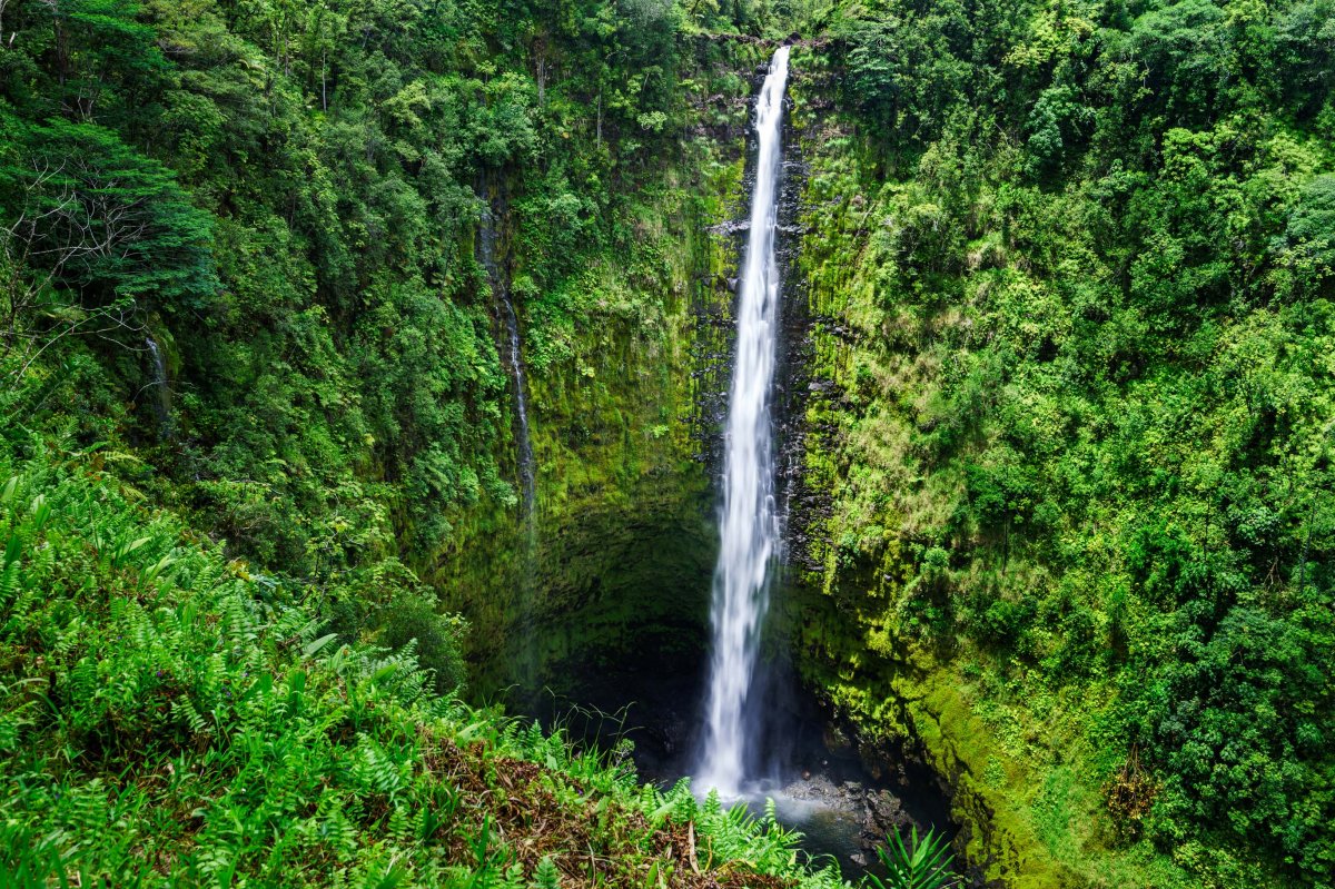 Akaka Falls Big Island of Hawaii