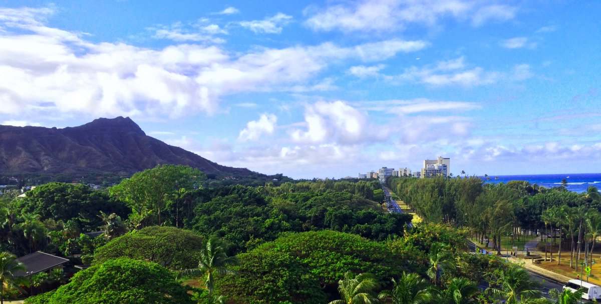 A view of Kapiolani Park and Diamond Head near Waikiki Beach on Oahu