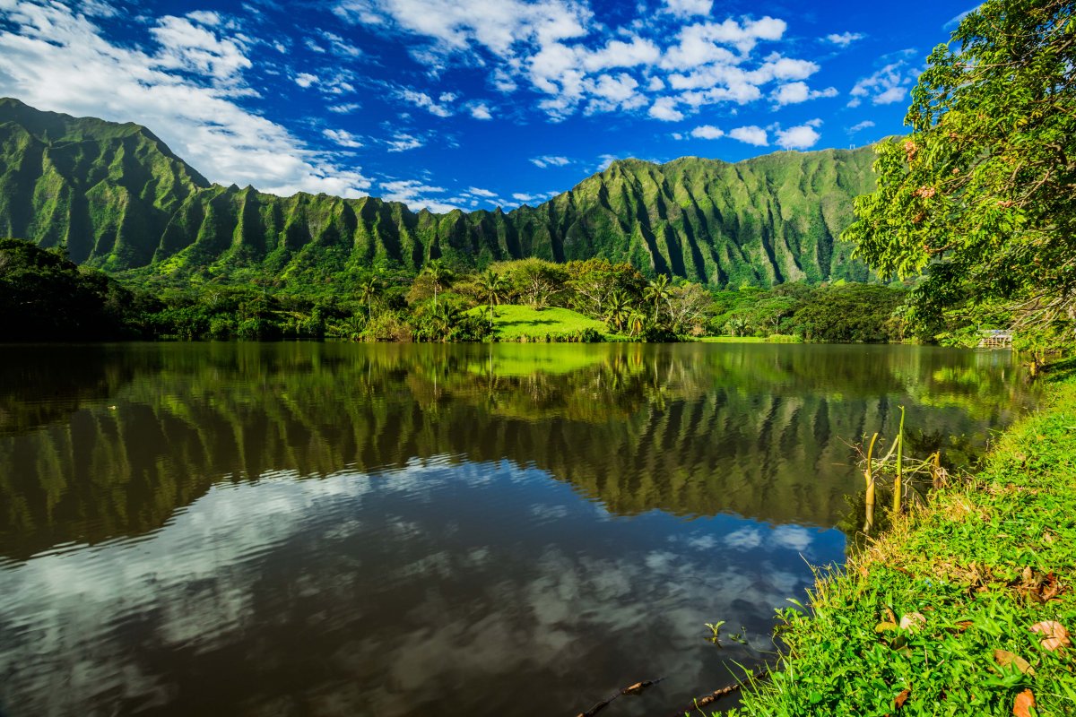 Gorgeous Oahu Hawaii mountain views with lack and lush foliage.