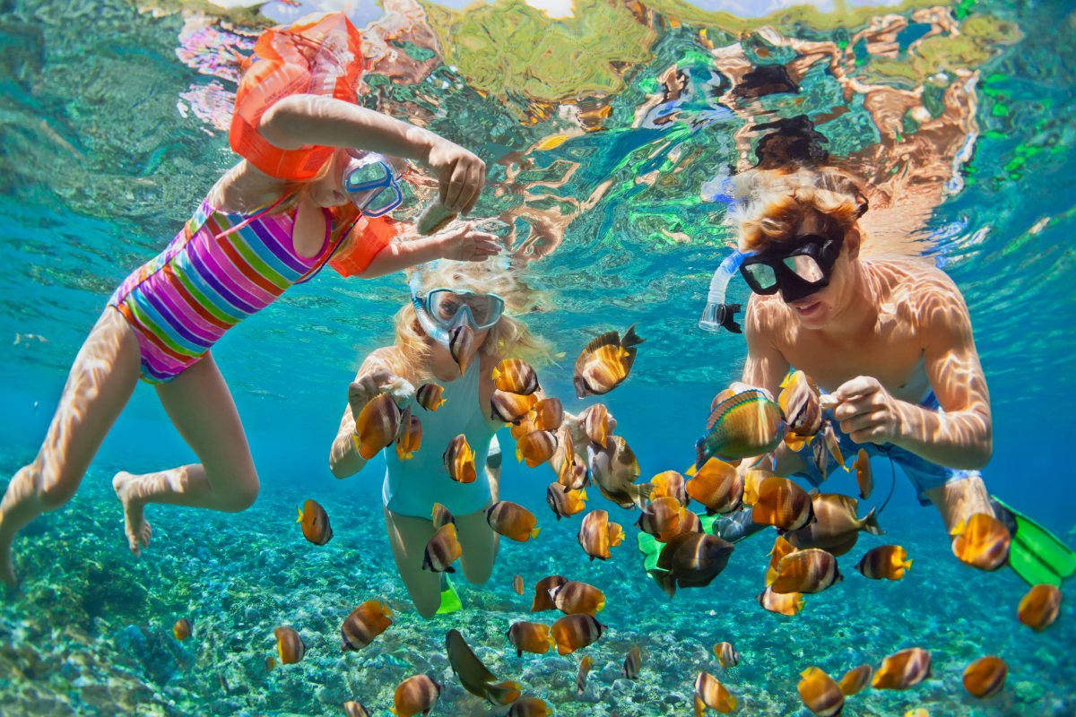 Snorkeling with School of Fish