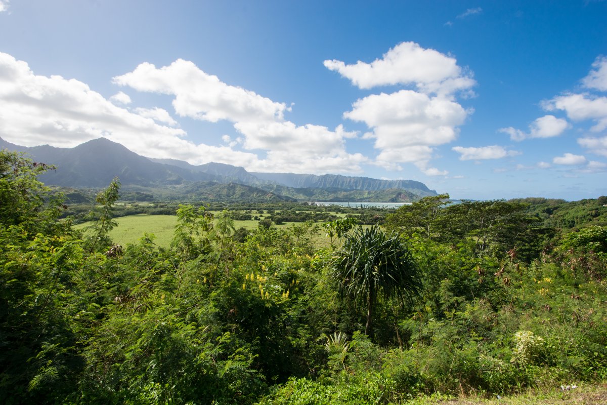 Hanalei Bay, Kauai, View