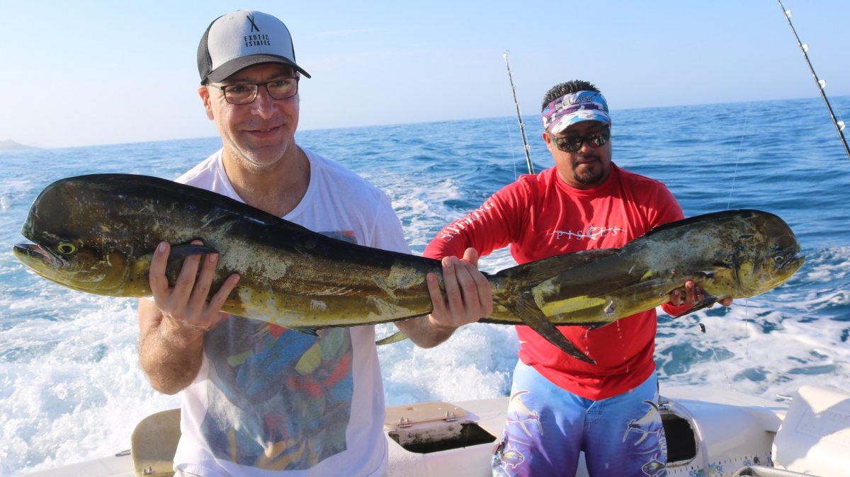 Cabo Sports Fishing
