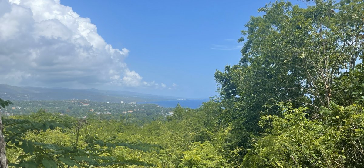 View of ocean and Ocho Rios coastline through lush mountain flora.