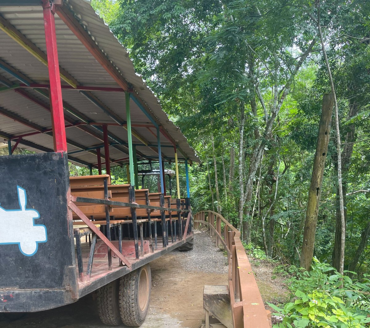 Trolly pulled by tractor to Blue Hole in Ocho Rios in Jamaica