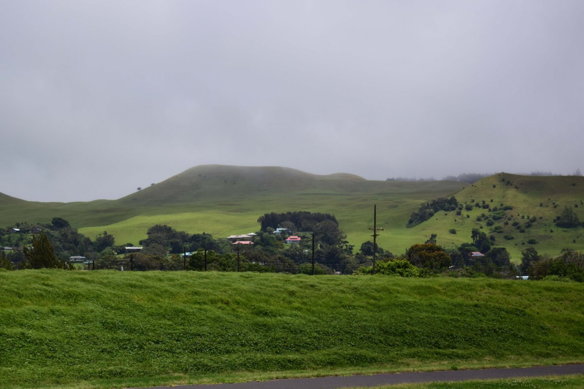 Waimea, Upcountry Big Island of Hawaii view of rolling green hills.