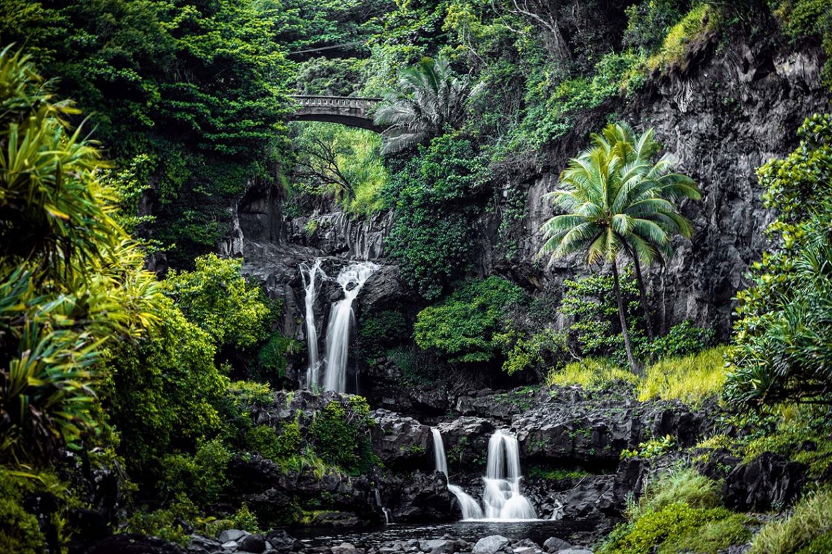 View of the lush tropical waterfall in the 'Ohe'o Gulch on way to Hana Maui.