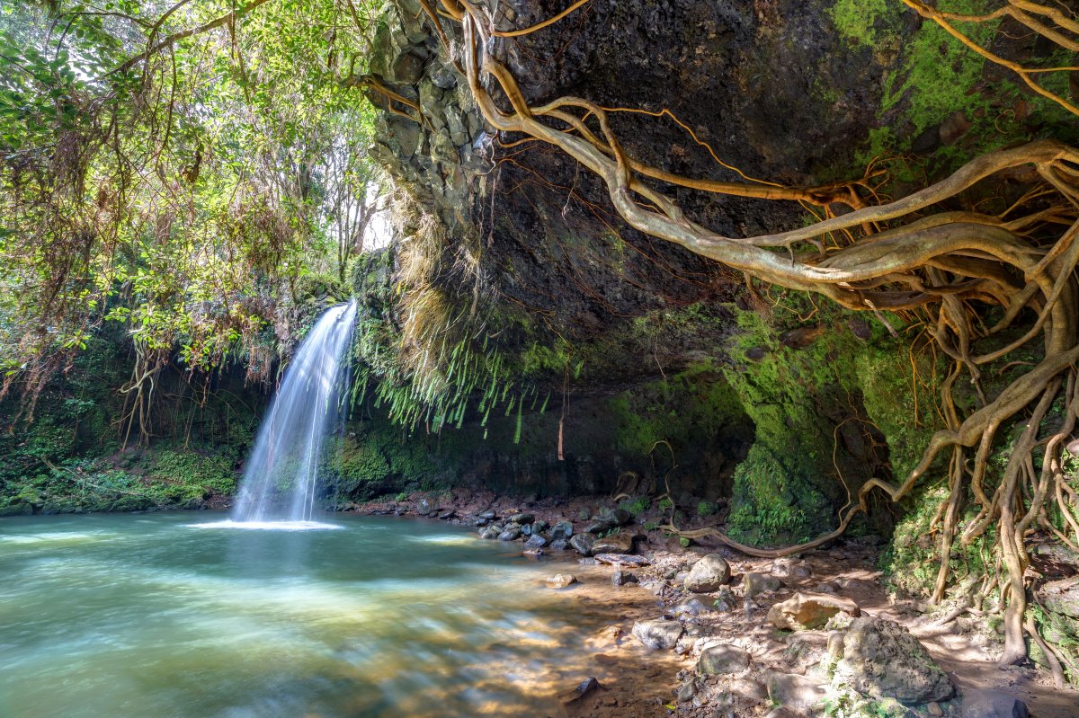 Twin Falls in Hana on Maui