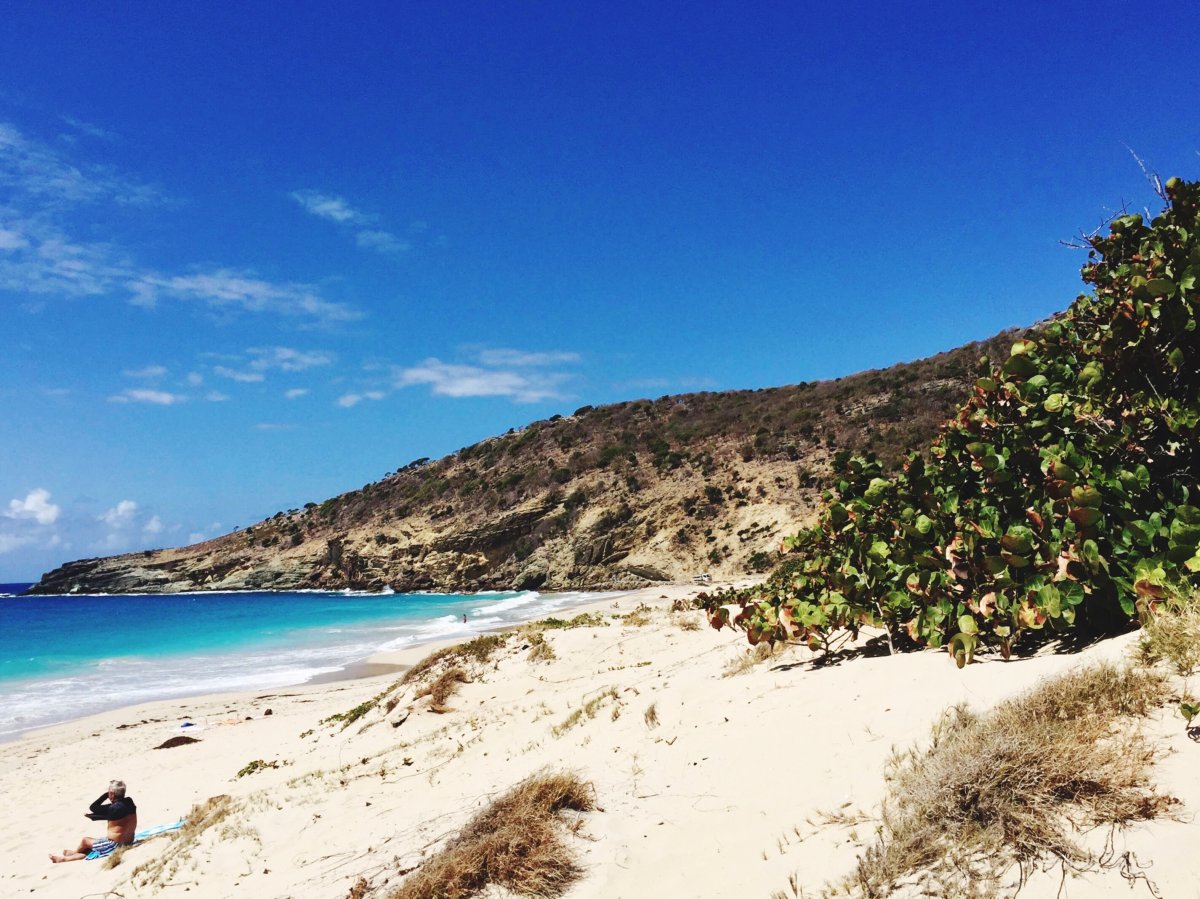 Saline Beach St. Barts