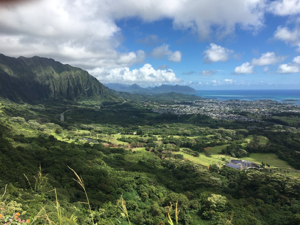 View of Windward Oahu Kailua and Kaneohe from the Nuuanu Pali on Oahu, Hawaii