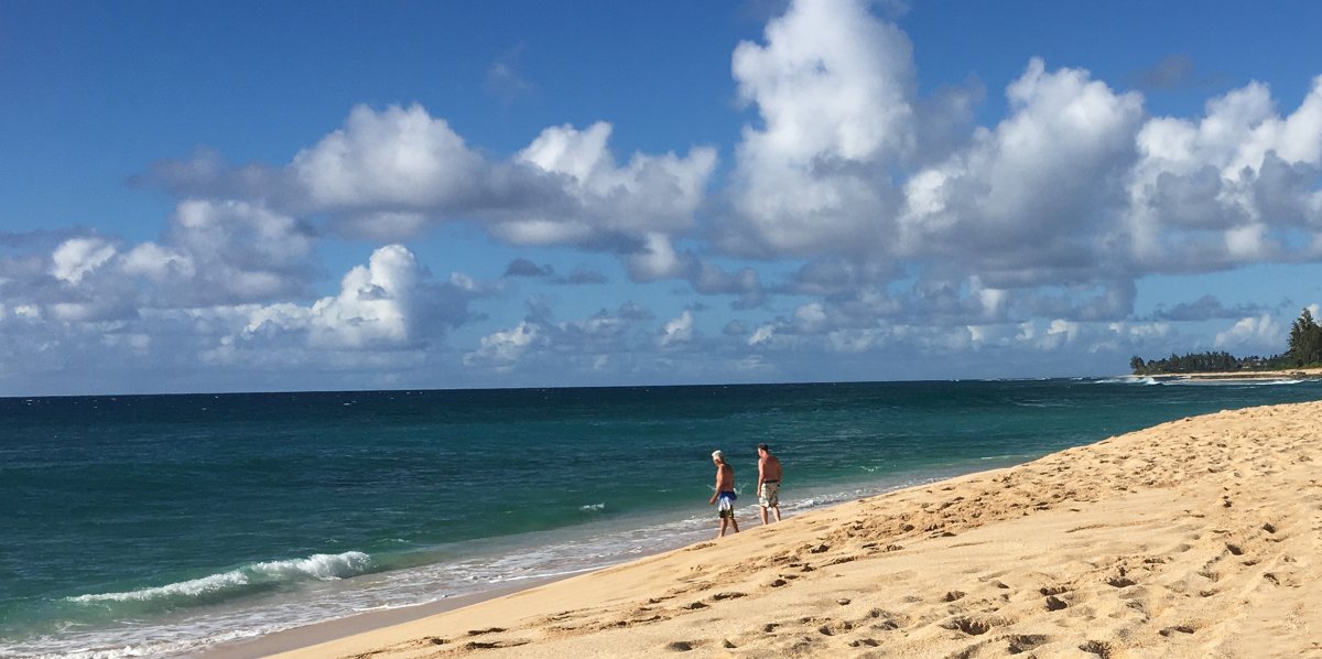 View of calm Banzai Pipeline beach area on the north shore of Oahu - John Di Rienzo