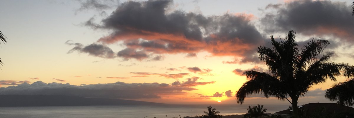 The Benefits of Vacation Estates versus Resorts in Hawaii