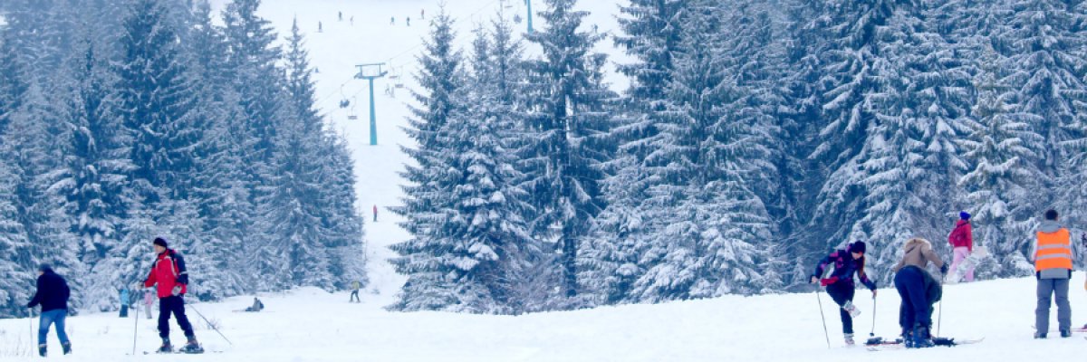 Ready to Shred? Explore Which Colorado Ski Area Is Perfect for You!