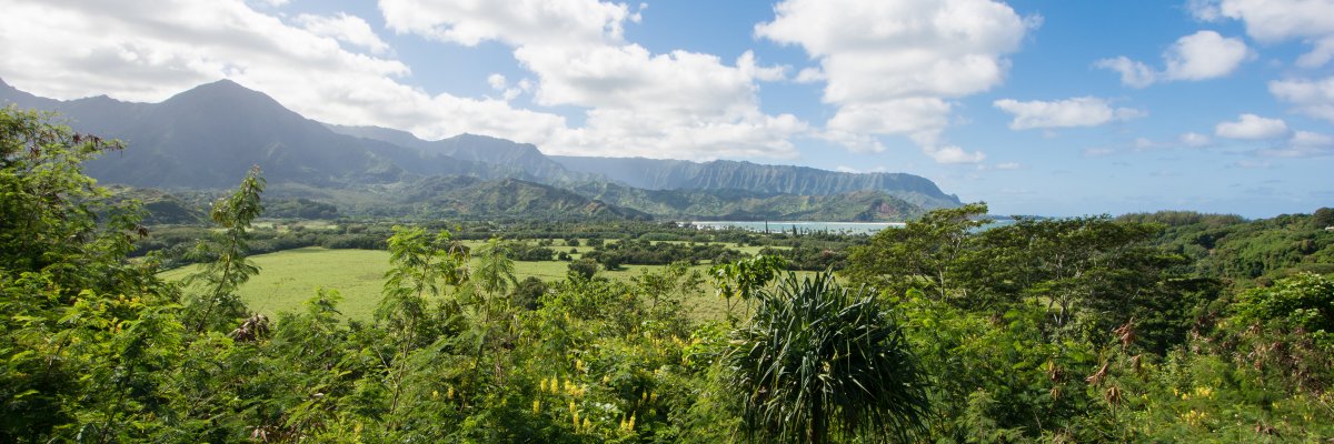 July Events and Activities in Hawaii