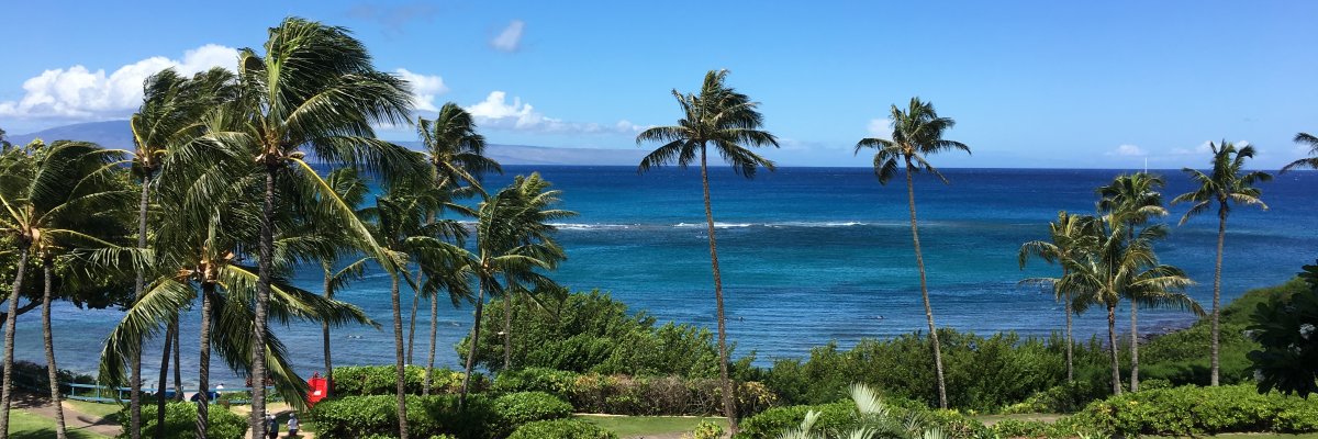 Maui's Signature Outdoor Adventures: Road to Hana, Haleakala & Molokini Guide