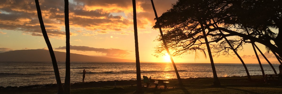 Exotic Estates' Top 5 Maui