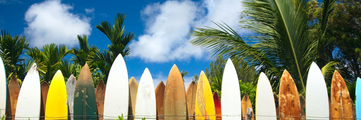 Surf’s Up – Maui Edition