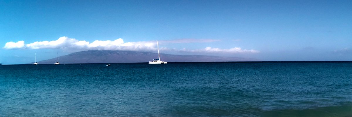 Maui vs. Big Island: Which Hawaiian Island Is Best for Your Vacation?