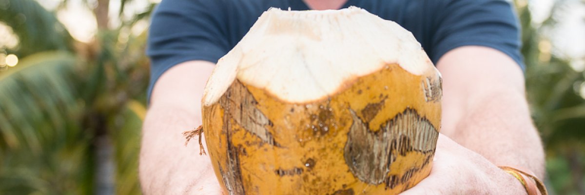 We are Coco-NUTS for the Punakea Palms Coconut Farm Tour!