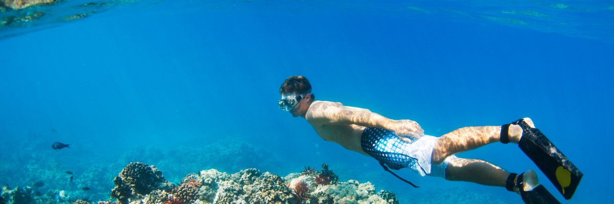 Snorkeling Etiquette in Hawaii