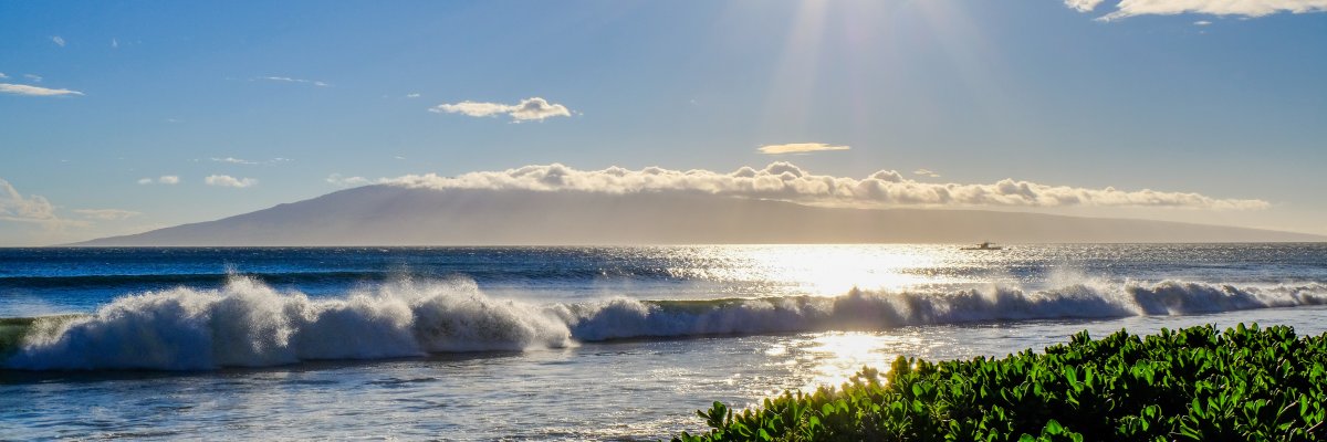 Maui's Cultural Heart: Lahaina's Loss and the Road Back | History & Recovery
