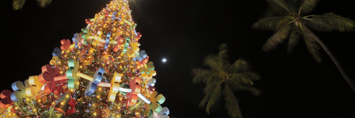 Top 10 Things To Do During the Holidays in Hawaii