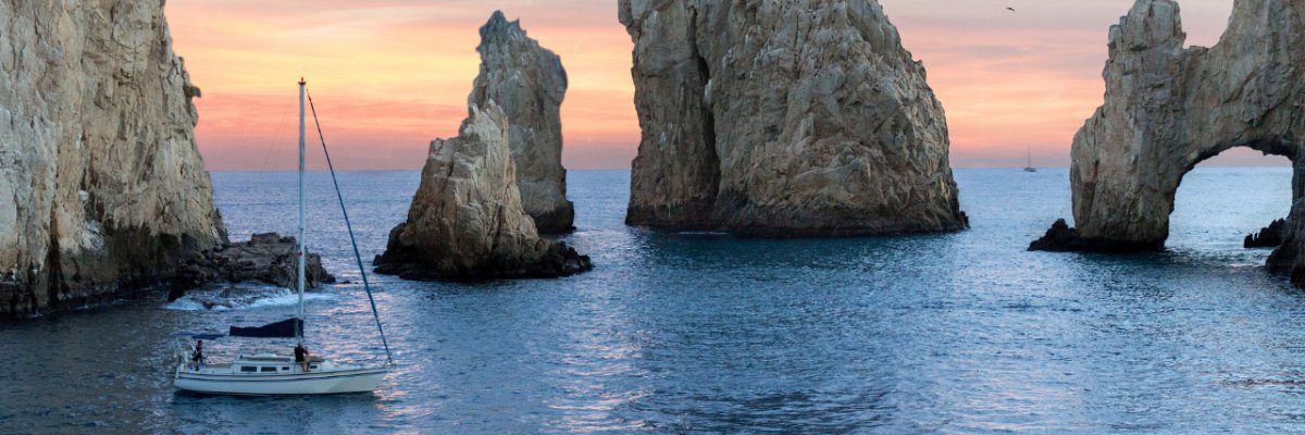 Fish to Catch in Cabo San Lucas During Sport Fishing Season