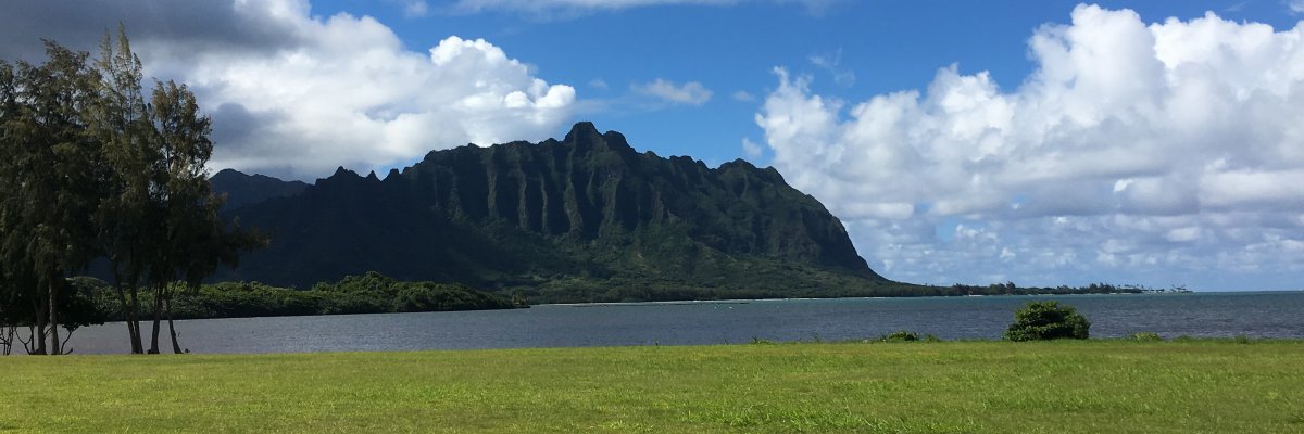 Understanding Hawaii Visitor Fees