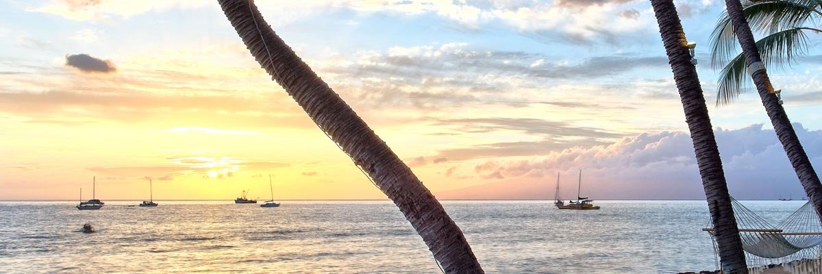 A Guide to Maui