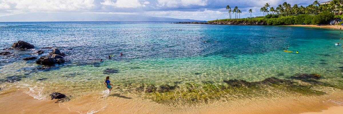 Tyler Coons Maui & Exotic Estates
