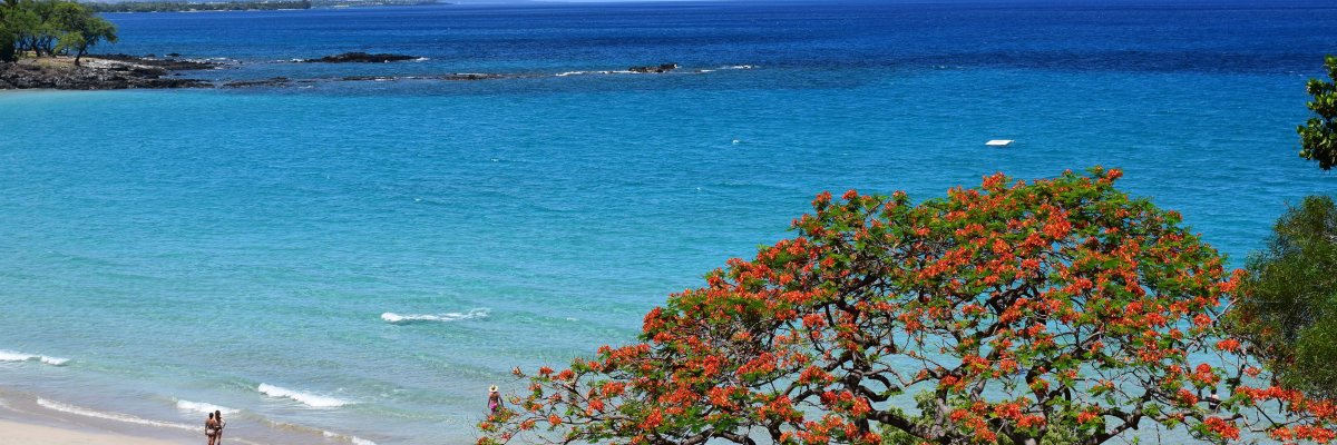 Big Island Vacation Planning: Every Article in One Place