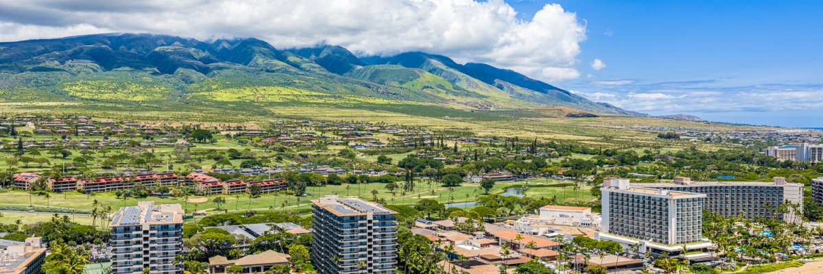 The Maui Guide: Every Story in One Place