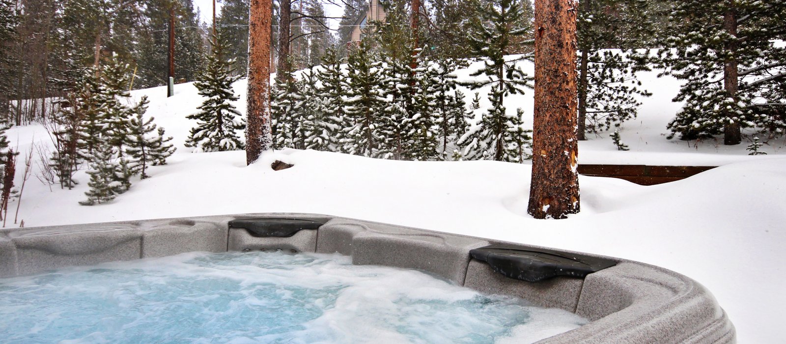 Elk Trail Haus Breckenridge Vacation Villa