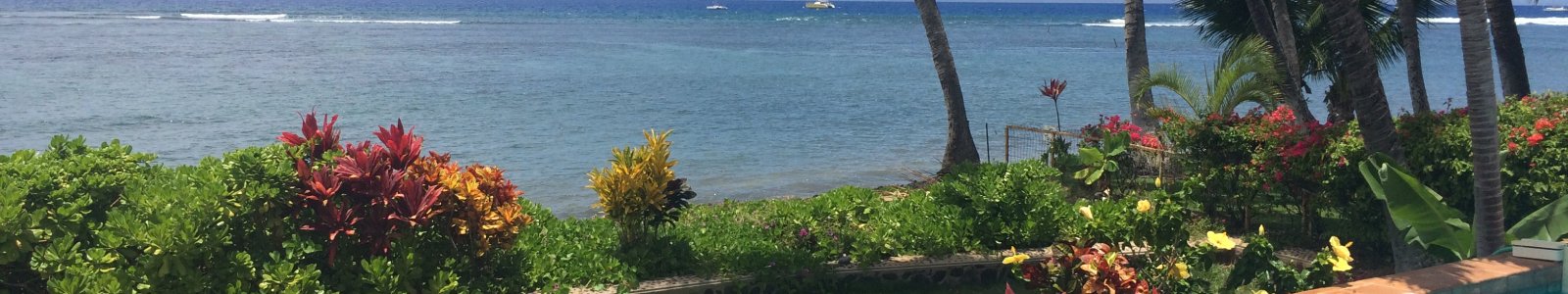 Maui Vacation Home Inspections – Is Your Rental Agent Looking Out for You?