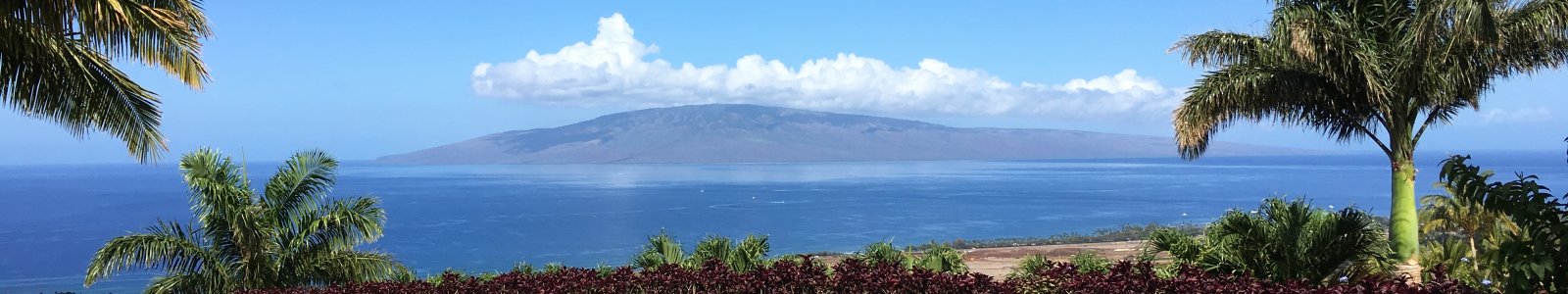 ​Maui Vacation Rental Guide – Where to Stock-up on Supplies