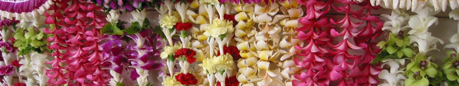 All About Leis - Exploring the Art and Significance of the Hawaiian Flower Garland