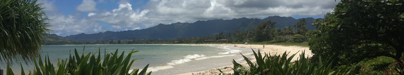 Six Hawaii Traveler Precautions