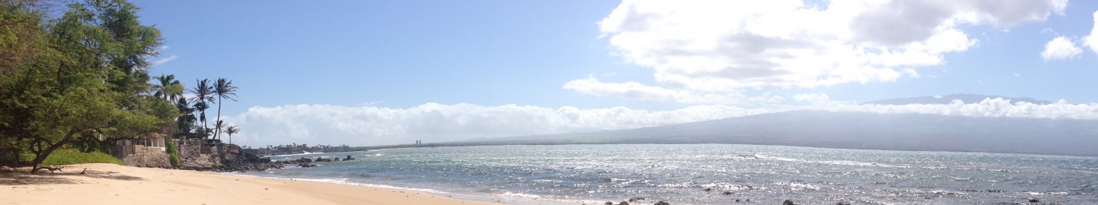 Exotic Estates Maui Beach Guide