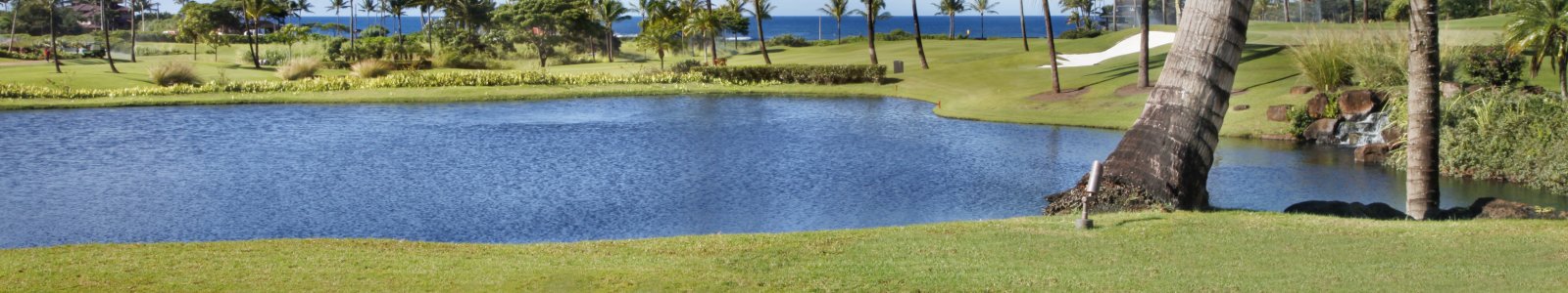 7 Best Things To Do In Kauai