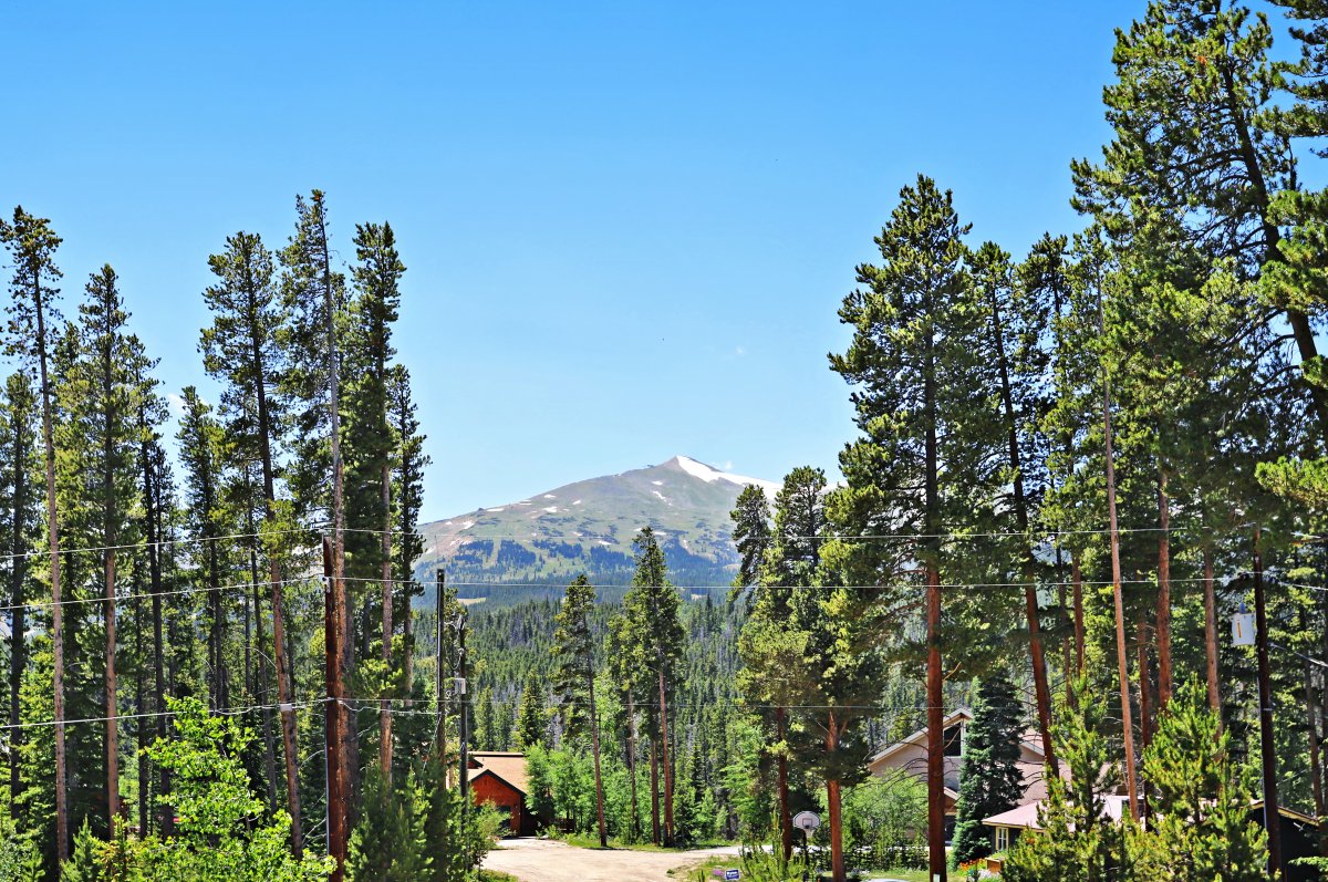 Eagles Watch Lodge