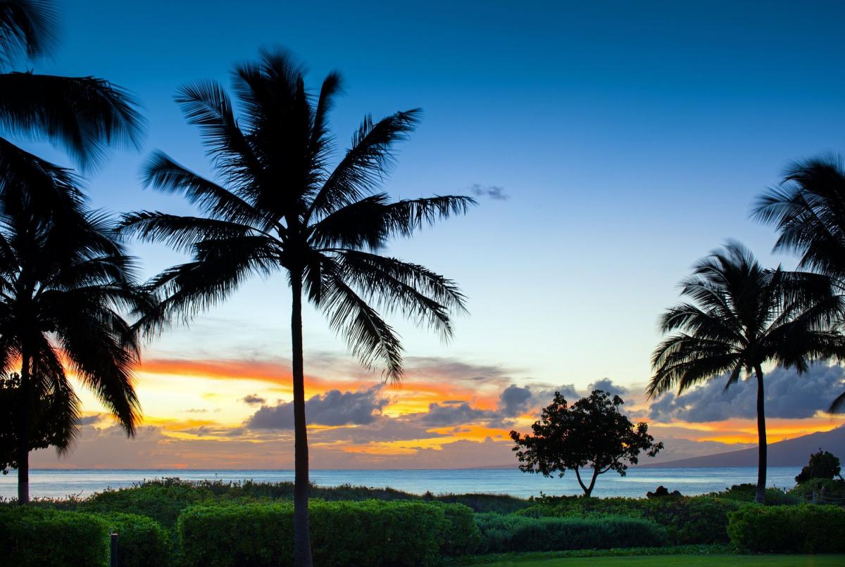Westin Nanea Ocean Villa