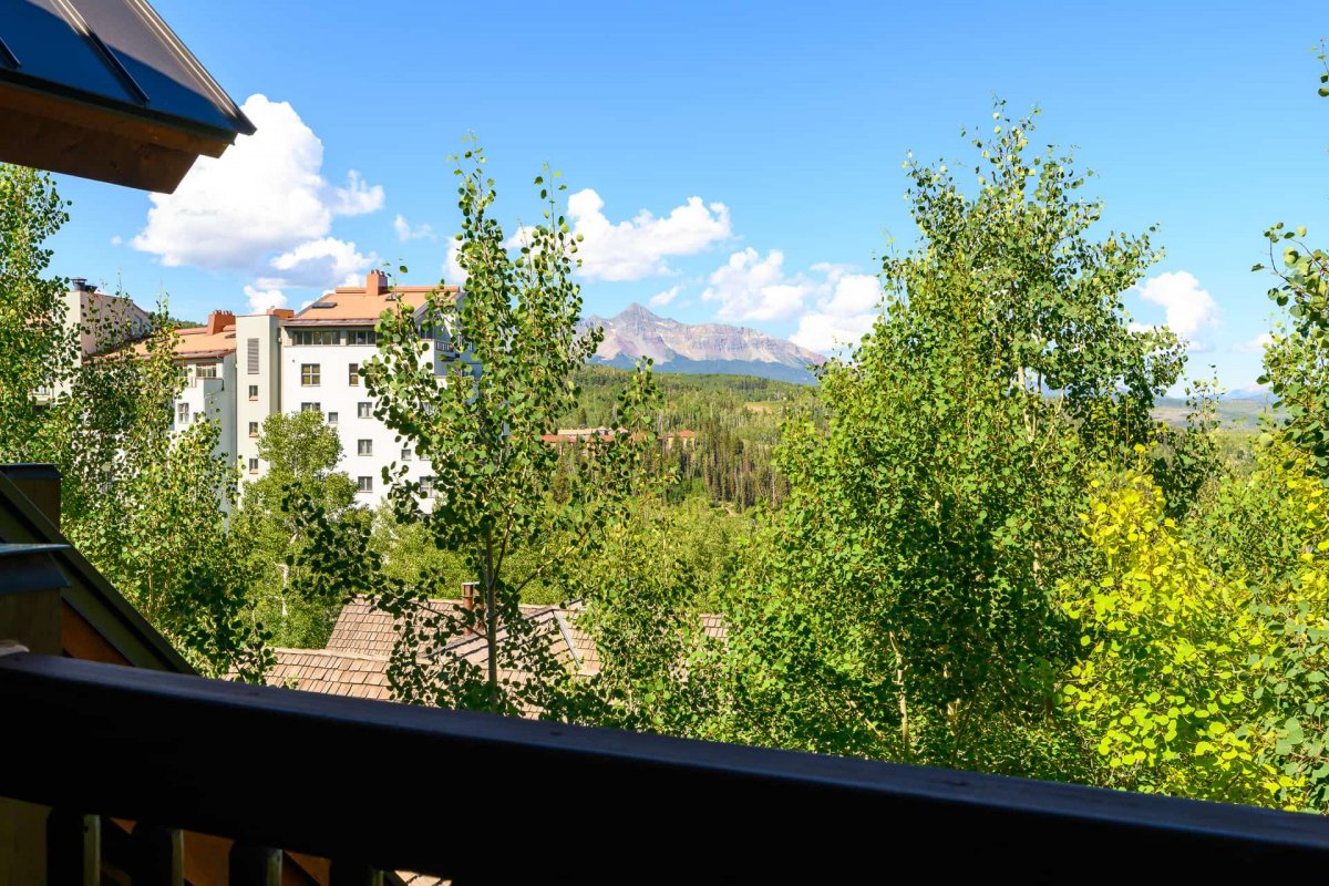 Telluride Cabin - See Forever 109