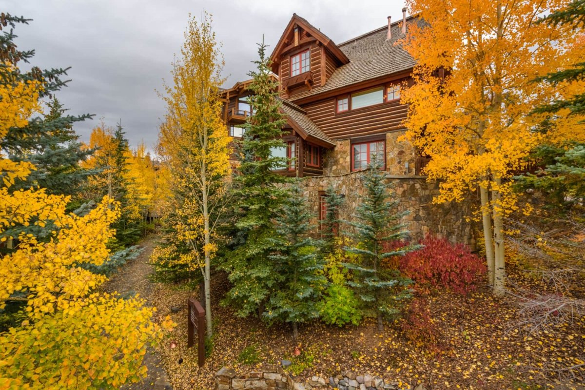 Telluride Cabin - See Forever 110