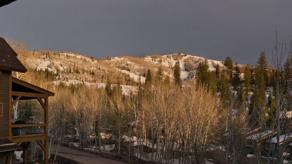 Black Bear Chalet