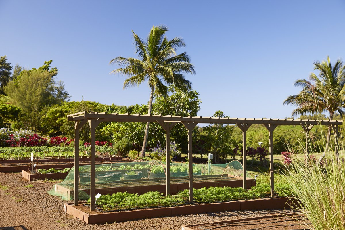 KukuiUla_2_Farm_0828