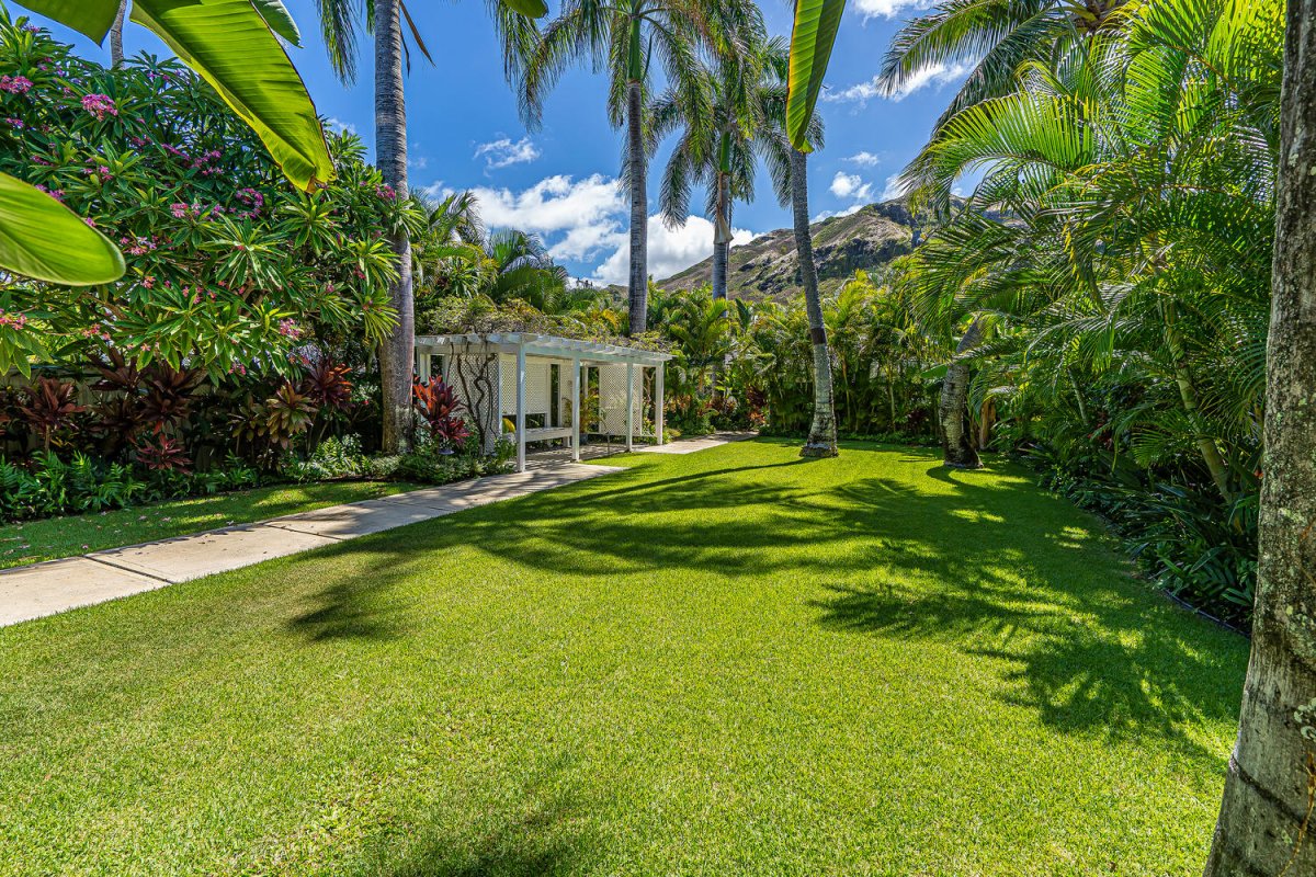 Lush Tropical Backyard