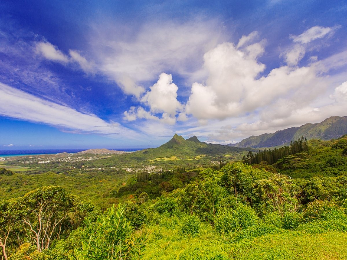 Majestic panoramic view of the mountain with lush, and tropical landscape on Oahu