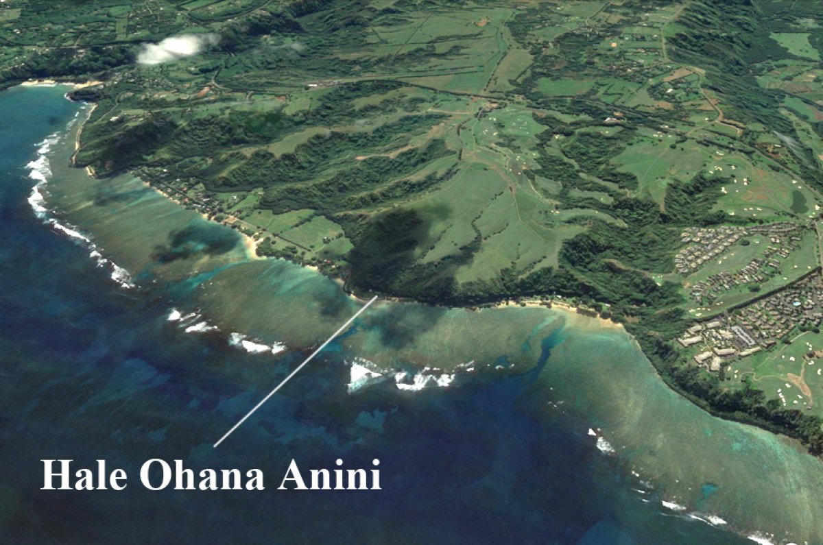 Ohana Anini