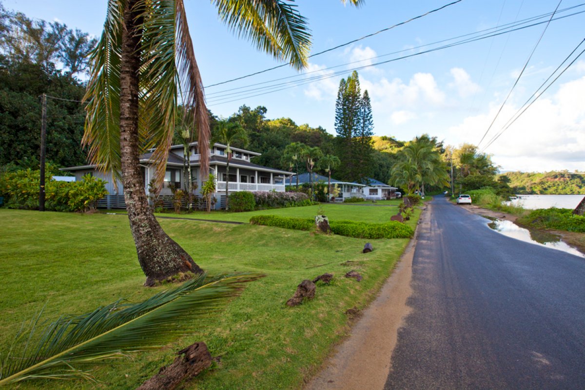 Ohana Anini