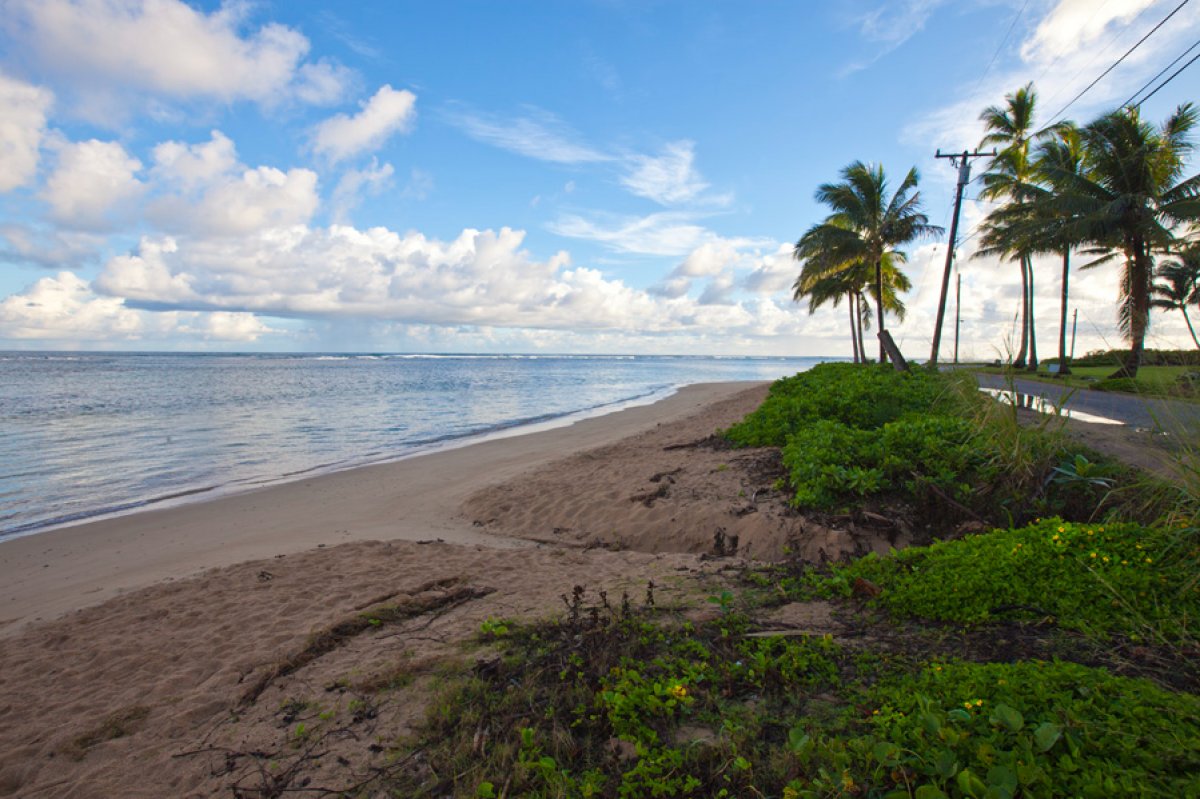 Ohana Anini